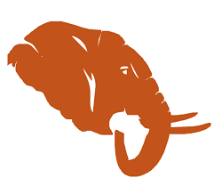 CITY SIGHTSEEING TOURS