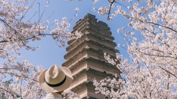 TÂY AN – LẠC DƯƠNG – KHAI PHONG 6N5Đ - Image - 9987