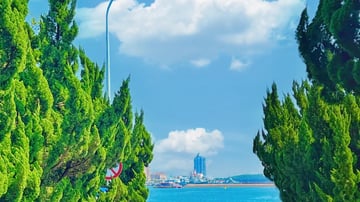 THƯỢNG HẢI – HÀNG CHÂU – Ô TRẤN - THANH ĐẢO - NOSHOP - Image - 9741