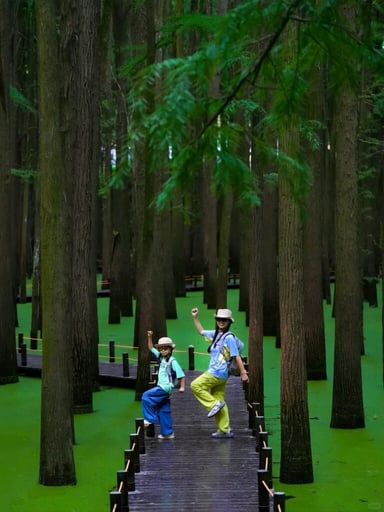 HÀNG CHÂU – THƯỢNG HẢI – Ô TRẤN OPTION DISNEYLAND - Image - 2352