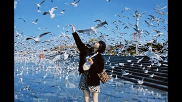 HÀ NỘI – CÔN MINH – KIỆU TỬ SƠN 4N3D - Image - 4558