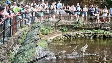 Mombasa: Guided Discovery City Tour And Haller Park Excursion. - Image - 8848