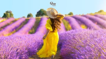 AOMORI – HIROSAKI - HAKODATE – SAPPORO – LAKE TOYA SCENIC HIGHLIGHTS HELICOPTER - Image - 358