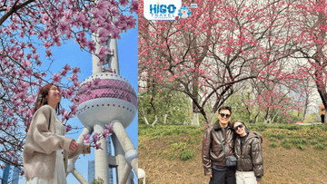 THƯỢNG HẢI – TÔ CHÂU - HÀNG CHÂU - Ô TRẤN HOA ANH ĐÀO (OPTION DISNEYLAND) CÓ SHOPPING - Image - 10110