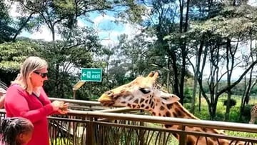 Nairobi:Giraffes Feeding Experience At Giraffes Centre And Kibera Slum Excursion. - Image - 8201