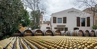 ENO-GASTRONOMIC TOUR CATALONIA - SPAIN - Image - 1879