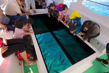 6 DAYS 5 NIGHTS OKINAWA - Image - 951