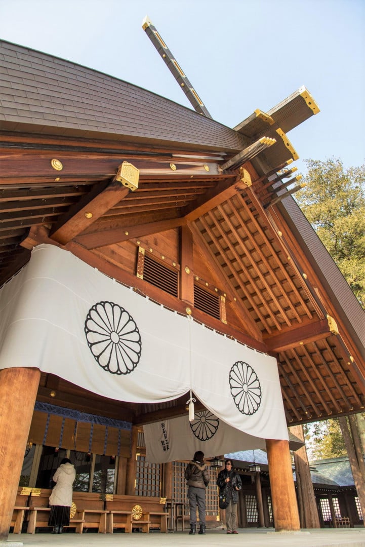 7D5N HOKKAIDO MAPLE - Image - 962