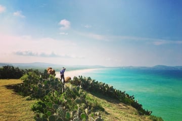 Quy Nhon - Phu Yen: Ghenh Rang Tien Sa - Hon Kho - Cococamp - Ky Co - Eo Gio - Image - 81
