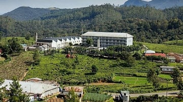 5-Day Sri Lanka: Elephant Orphanage – Temple of the Tooth – Tea Factory - Image - 10956