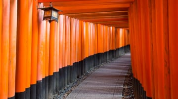 HÀ NỘI – OSAKA – KOBE – KYOTO – NÚI PHÚ SĨ – TOKYO – NGẮM HOA ANH ĐÀO – HÀ NỘI - Image - 8986