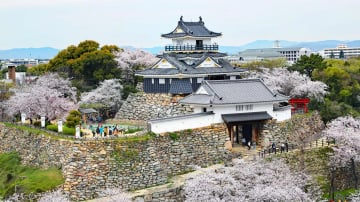 TP.HCM – OSAKA – KYOTO – PHÚ SĨ – TOKYO – TP.HCM 6N5Đ - Image - 10405