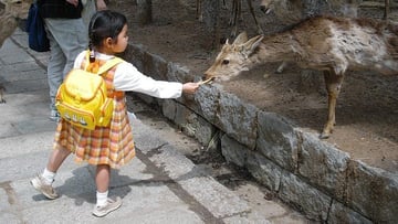 6 DAYS 5 NIGHTS OKINAWA - Image - 953