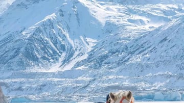 TOUR THÀNH ĐÔ - CỬU TRẠI CÂU - LẠC SƠN ĐẠI PHẬT TOUR NO SHOP - Image - 6473