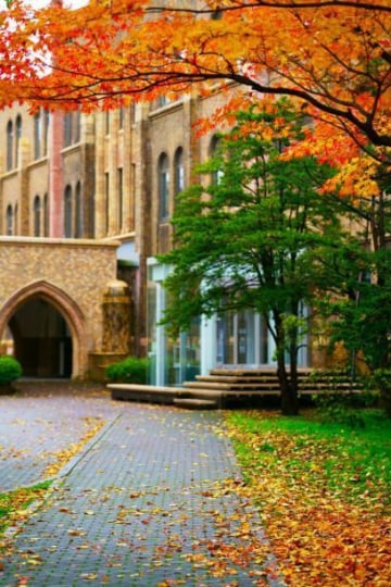 AOMORI – HIROSAKI - HAKODATE – SAPPORO – LAKE TOYA SCENIC HIGHLIGHTS HELICOPTER - Image - 1182