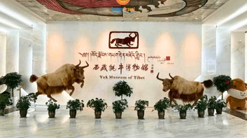 Hà Nội - Cát Bi - Lệ Giang - Đại Lý - Shangrila - Image - 9595