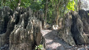 Bau Gold Mine, Caves and Rock Maze – Malaysia Day Tour - Image - 11157