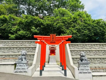 8D 7N/6N HOKKAIDO WINTER DREAMLAND - Image - 1027