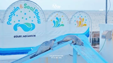 AOMORI – HIROSAKI - HAKODATE – SAPPORO – LAKE TOYA SCENIC HIGHLIGHTS HELICOPTER - Image - 362