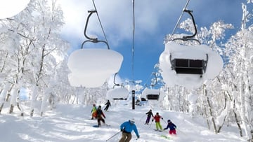 CÔN MINH - KIỆU TỬ SƠN NO SHOPPING - Image - 4589