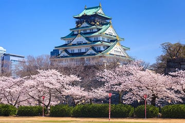 Japan Cherry Blossom Tour OSAKA - KYOTO - MOUNT FUJI - TOKYO – NARITA 5 Days 5 Nights - Image - 231