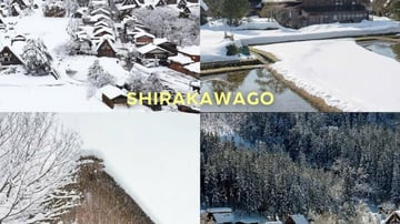 ĐẾN VỚI THẾ GIỚI TUYẾT TRẮNG Ở SHINHOTAKA ROPEWAY & THỦY CUNG NAGOYA AQUARIUM - Image - 4283