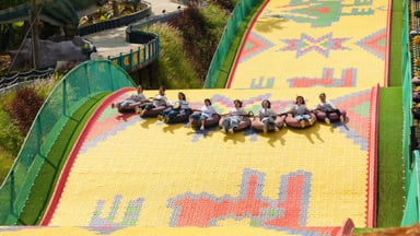 TOUR ĐÀ LẠT 3 NGÀY 3 ĐÊM - Image - 3912