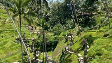 EXPLORE SACRED UBUD - ONE DAY TOUR - Image - 11500