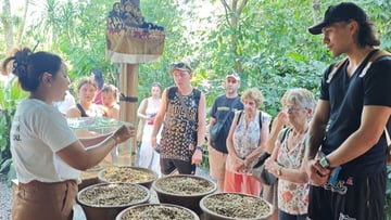 Jatiluwih Rice Terrace Tour - Image - 11667