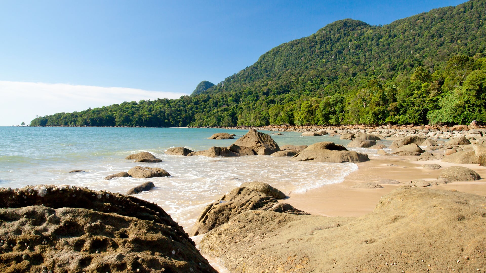 Morning Santubong Wildlife and Mangrove Cruise – Malaysia
