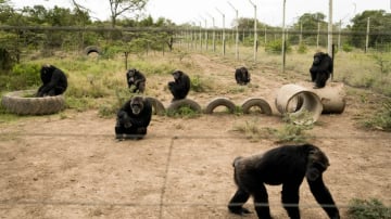 7-Day Private Safari in Kenya - Image - 10741