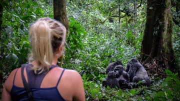7 Days Rwanda Primates & Wilderness Expedition - Image - 9173