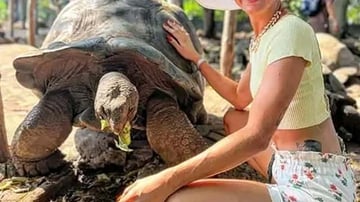 Mombasa: Guided Discovery City Tour And Haller Park Excursion. - Image - 8859