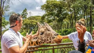 Nairobi:Giraffes Feeding Experience At Giraffes Centre And Kibera Slum Excursion. - Image - 8204