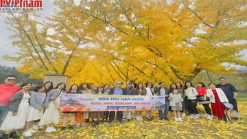 Tour Hàn Quốc 5N4Đ: Từ Hà Nội - Seoul - Nami - Everland - Ngắm Hoa Anh Đào Công Viên Yeouido, Bay Vietnam Airlines + KS 4* - Image - 5453