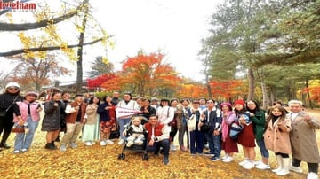 Tour Hàn Quốc 5N4Đ: Từ Hà Nội - Seoul - Nami - Everland - Ngắm Hoa Anh Đào Công Viên Yeouido, Bay Vietnam Airlines + KS 4* - Image - 5455