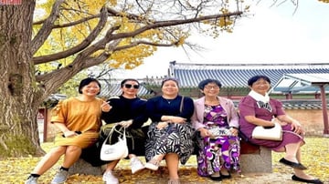 Tour Hàn Quốc 5N4Đ: Từ Hà Nội - Seoul - Nami - Everland - Ngắm Hoa Anh Đào Công Viên Yeouido, Bay Vietnam Airlines + KS 4* - Image - 5441