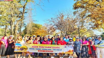 Tour Hàn Quốc 5N4Đ: Từ Hà Nội - Seoul - Nami - Everland - Ngắm Hoa Anh Đào Công Viên Yeouido, Bay Vietnam Airlines + KS 4* - Image - 5457