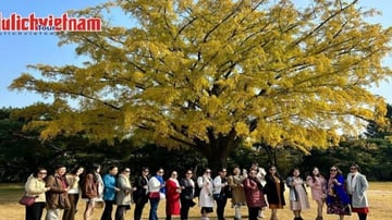 Tour Hàn Quốc 5N4Đ: Từ Hà Nội - Seoul - Nami - Everland - Ngắm Hoa Anh Đào Công Viên Yeouido, Bay Vietnam Airlines + KS 4* - Image - 5452