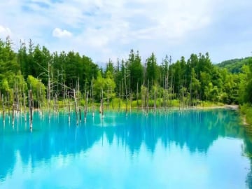 8D 7N/6N COLOURFUL HOKKAIDO - Image - 1021