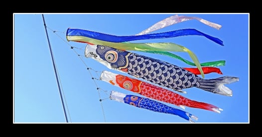 Tour Nhật Bản Tokyo Fuji 5 ngày 4 đêm - Image - 838