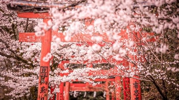 KOBE - OSAKA - KYOTO - PHÚ SĨ -TOKYO - Image - 4705