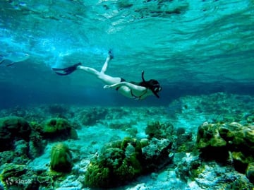 Phi Phi Island Tour By Big Boat Economy Seat Excl National Park - SIC Van Transfer with lunch - Image - 1976