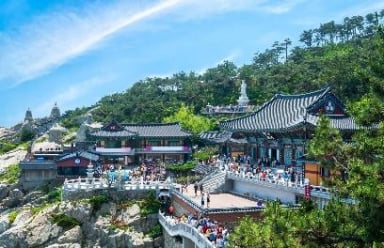 HÀN QUỐC MÙA ĐÔNG: BUSAN – TÀU VEN BIỂN – SEOUL – NAMI– TRƯỢT TUYẾT – HÁI DÂU 6N5Đ - Image - 1488