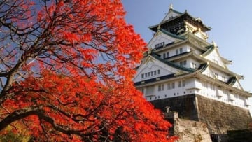 AOMORI – HIROSAKI - HAKODATE – SAPPORO – LAKE TOYA SCENIC HIGHLIGHTS HELICOPTER - Image - 1171