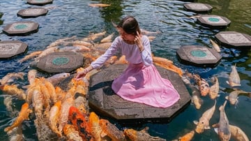 Amed Sunset Escape – East Bali Experience - Image - 11613