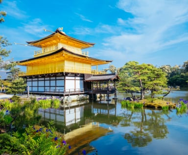 OSAKA – KOBE – KYOTO – FUJI – TOKYO – NARITA ⏰ 6 DAYS 5 NIGHTS - Image - 286