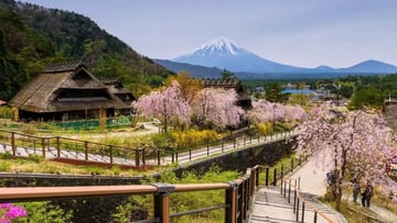 NARA – OSAKA – KYOTO – PHÚ SĨ – TOKYO (NO SHOPPING) - Image - 4717