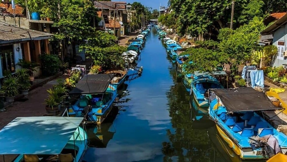 5-Day Sri Lanka: Elephant Orphanage – Temple of the Tooth – Tea Factory - Image - 10947