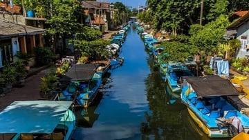 5-Day Sri Lanka: Elephant Orphanage – Temple of the Tooth – Tea Factory - Image - 10947